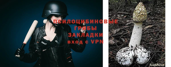 ALPHA PVP Баксан