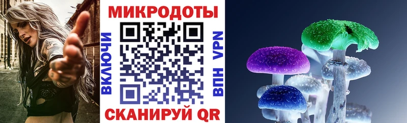 Купить закладки  Железноводск  Псилоцибиновые грибы мухоморы 